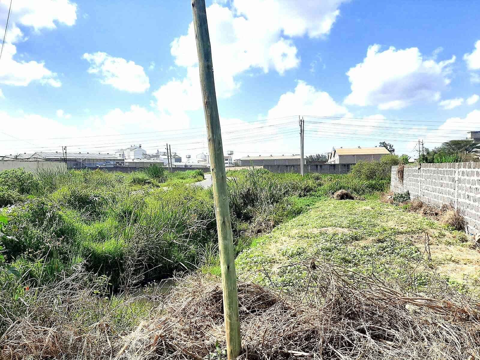 INDUSTRIAL LAND, photo 1 of 5