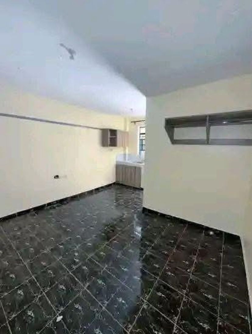 NEWLY BUILT STUDIO APARTMENT OFF NAIVASHA ROAD, photo 1 of 4