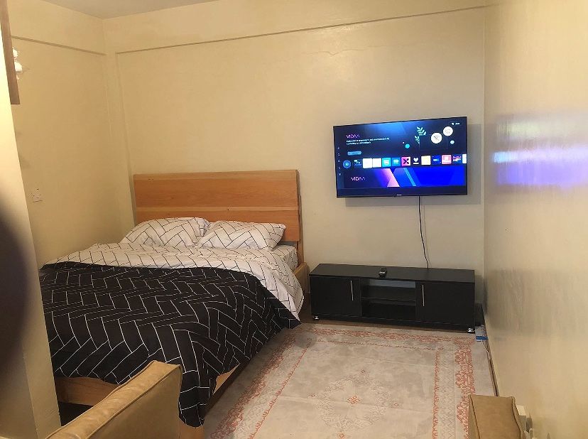 FULLY FURNISHED AIRBNB IN MOUNTAIN VIEW, photo 1 of 4