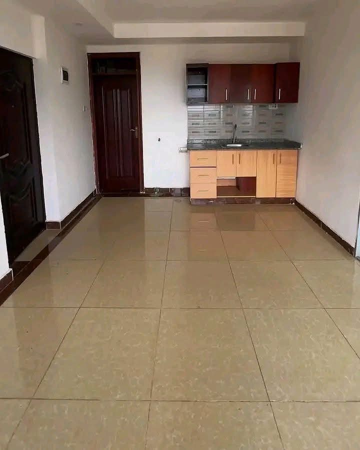 SPACIOUS BEDSITTER IN WITEITHIE, photo 1 of 3